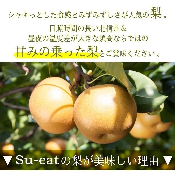 9月下旬 南水 梨 訳あり 減農薬 長野県産 10キロ : Su-eat Farm - 通販