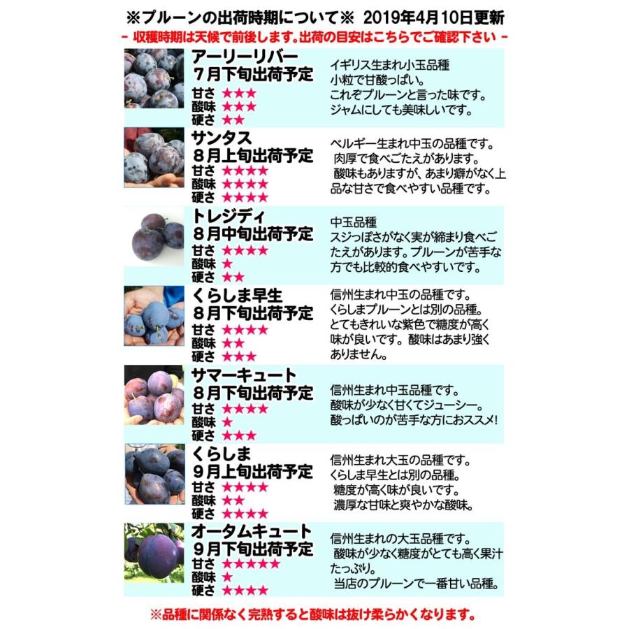 7月下旬 8月上旬発送 朝どれ 生プルーン 長野県産 2キロ レビューを書いたら0円クーポン 1414 Su Eat Farm 通販 Yahoo ショッピング