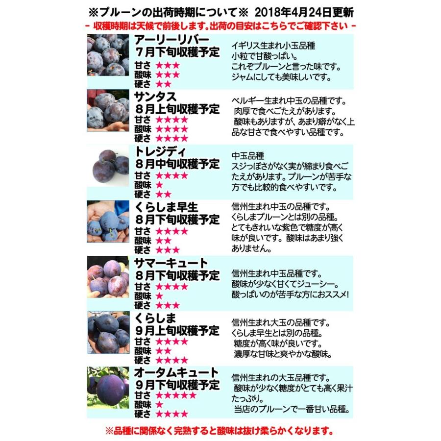 9月上旬〜中旬 生プルーン くらしま 長野県産 4キロ : Su-eat Farm