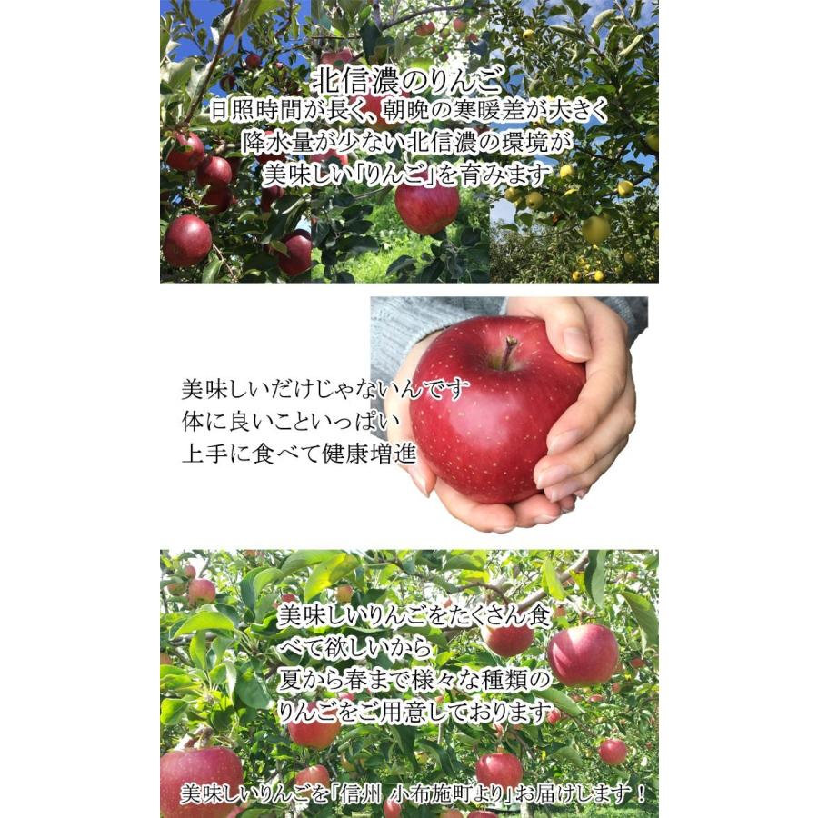 特選 サンふじ りんご 減農薬 10キロ : Su-eat Farm - 通販 - Yahoo