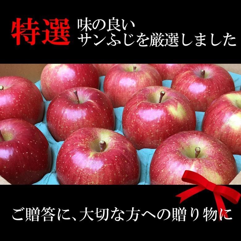 専用10キロ、りんご10キロ 楽天市場】【予約】旬のもぎたてシリーズ♪ 青森 りんご トキ