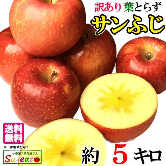 8月下旬〜9月上旬 つがる 訳あり 長野産 りんご 減農薬 約5キロ レビューを書いたら200円クーポン 100%正規品 8月下旬〜9月上旬 つがる 訳あり 長野産 りんご 減農薬 約5キロ レビューを書いたら200円クーポン 100%正規品