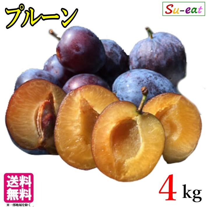 7月中旬〜下旬 小玉アーリーリバー 生プルーン 長野県産 4キロ : Su
