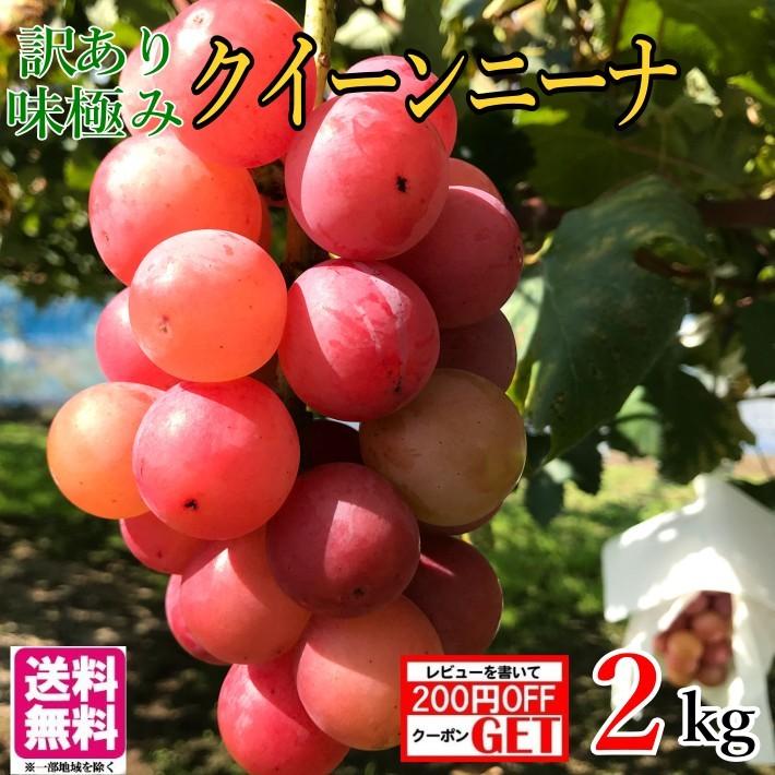 10月中旬発送 クイーンニーナ 訳あり 種なし ぶどう 長野県産 2キロ Budou Qin W2k Su Eat Farm 通販 Yahoo ショッピング