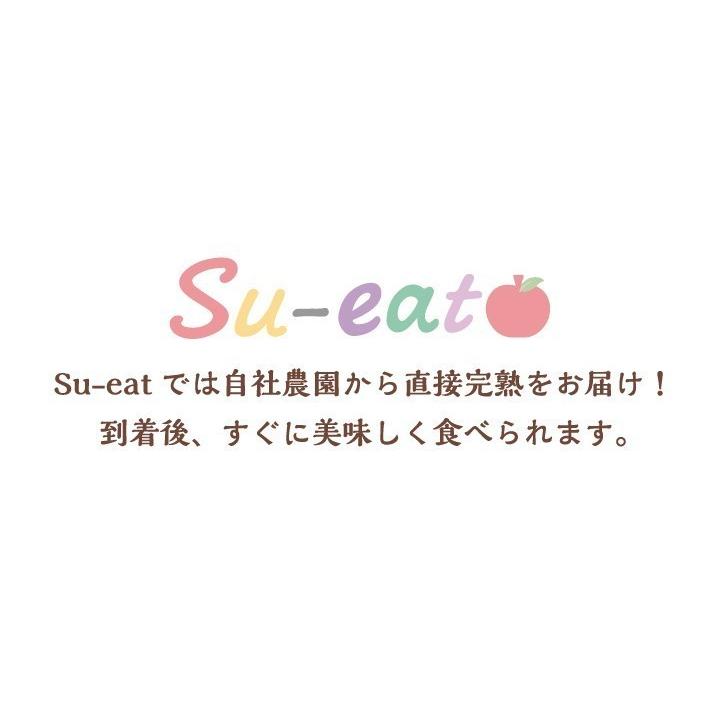 8月中旬〜下旬　くらしま早生　生プルーン  長野県産 4キロ｜kizunasanntyokukai｜04