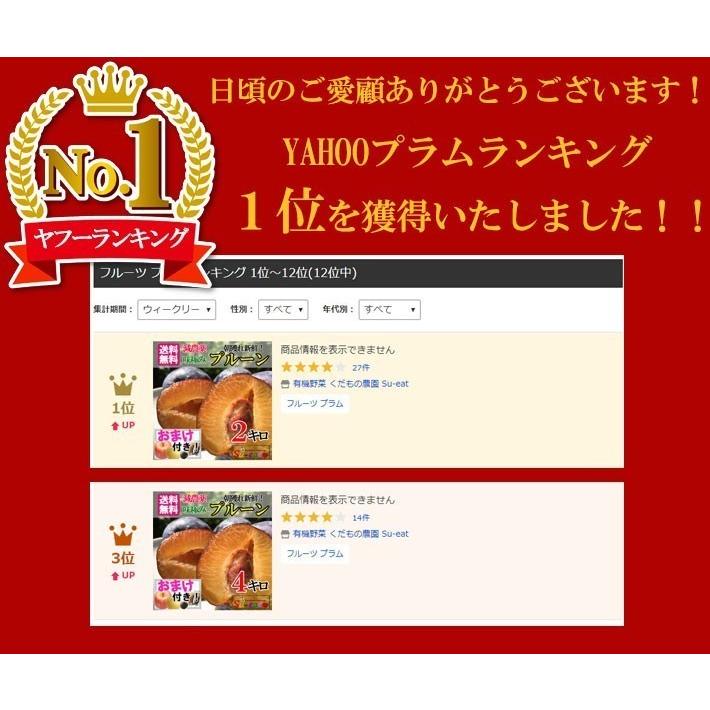 8月中旬〜下旬 くらしま早生 生プルーン 減農薬 長野県産 3キロ : Su
