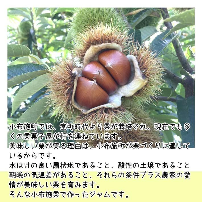 9月下旬〜10月中旬 小布施栗 小サイズ 2キロ レビューを書いたら200円クーポン :kuri-k2k:Su-eat Farm - 通販 - Yahoo!ショッピング 9月下旬〜10月中旬 小布施栗 小サイズ 2キロ レビューを書いたら200円クーポン :kuri-k2k:Su-eat Farm - 通販 - Yahoo!ショッピング
