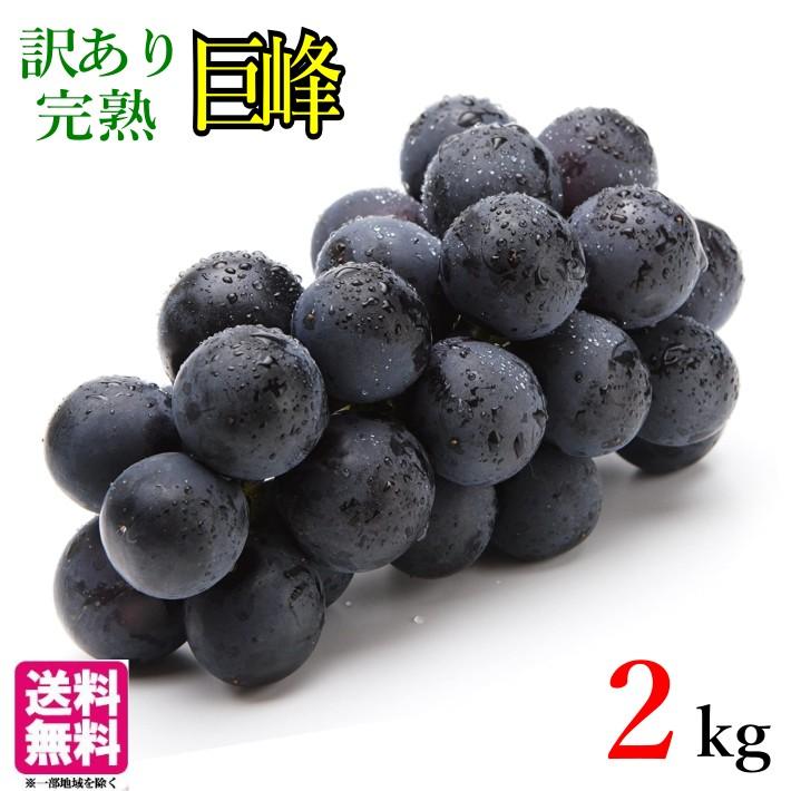 9月上旬〜中旬 巨峰 種無し ぶどう 訳あり 2キロ 長野県産 : Su