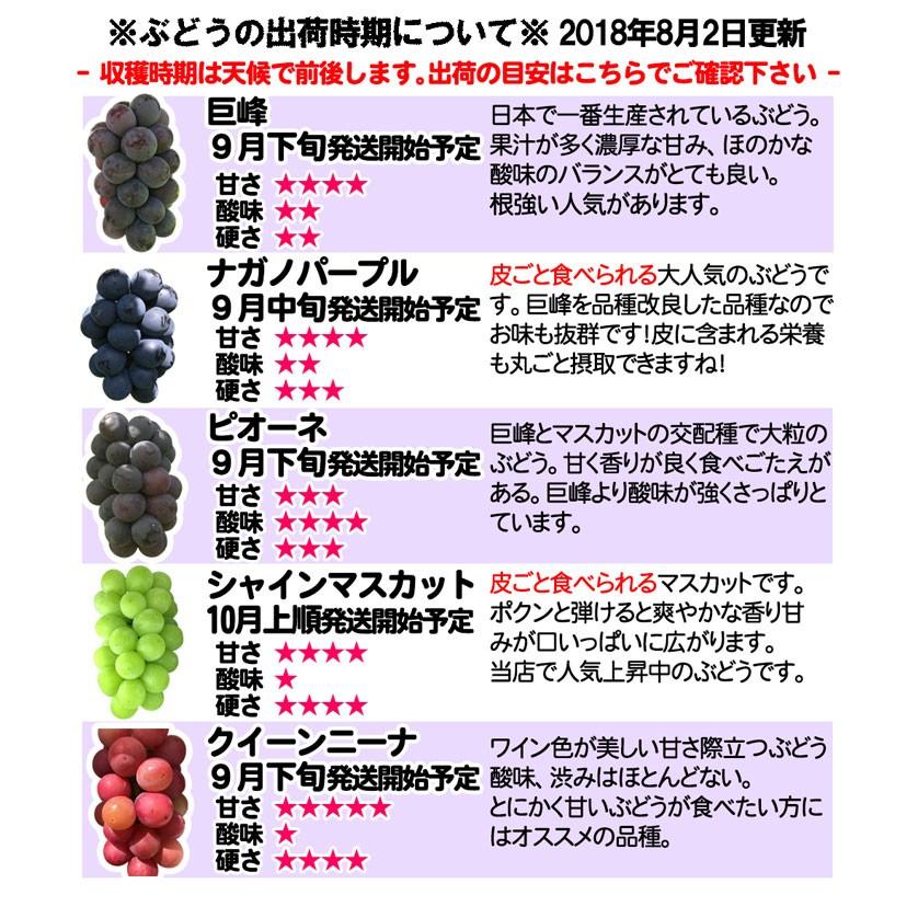 9月上旬〜中旬 巨峰 種無し ぶどう 訳あり 2キロ 長野県産 : Su-eat