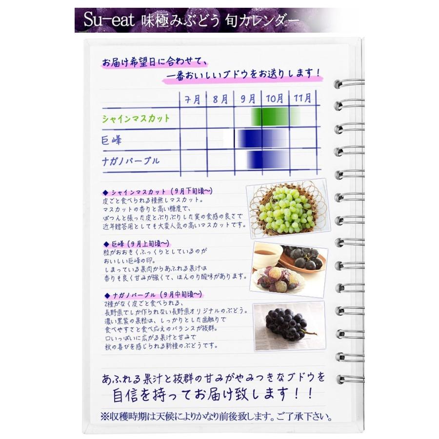 9月上旬〜中旬 巨峰 種無し ぶどう 訳あり 2キロ 長野県産 : Su-eat