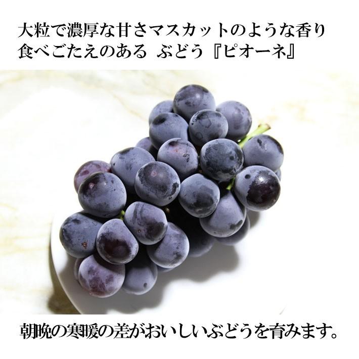 【ミミ】巨峰の粒　箱込2kg弱 9月上旬〜中旬 巨峰 種無し ぶどう 訳あり 2キロ 長野県産 : Su-eat