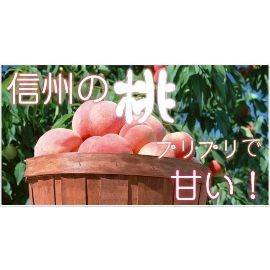 【8/29まで２箱まとめ売り】訳あり川中島白桃!! こばやし園 小布施町産川中島白桃 約5kg【訳あり】