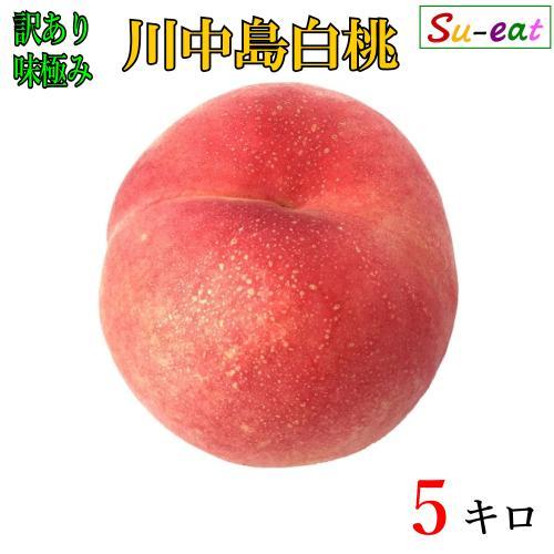 8月下旬 訳あり 川中島白桃 減農薬 長野県産 5キロ : Su-eat