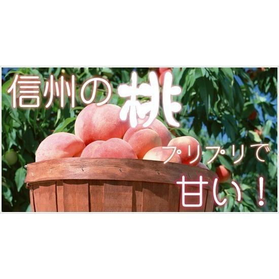 桃　あらかわの桃®︎ 川中島白桃　15玉　訳あり 01_skmomo_01_02.jpg