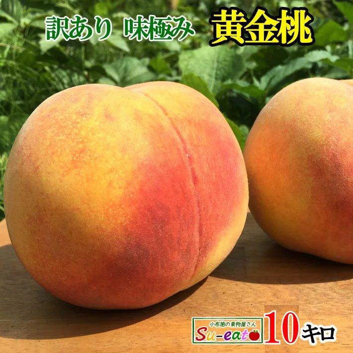 信州産　黄金桃　家庭用　10kg 8月中旬〜下旬 訳あり 黄金桃 長野県産 10キロ : Su-eat Farm