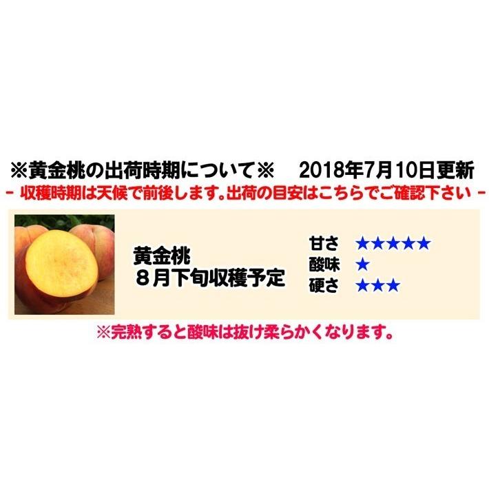 8月中旬〜下旬 訳あり 黄金桃 長野県産 10キロ : Su-eat Farm - 通販