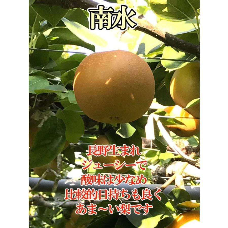 9月下旬 南水 梨 小玉 訳あり 減農薬 長野県産 10キロ : Su-eat