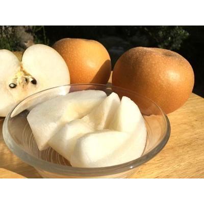 (10玉サイズ南水梨)約10kg訳ありご家庭用★送料込★秋田県産 南水梨 10玉サイズ南水梨)約10kg訳ありご家庭用☆送料込☆