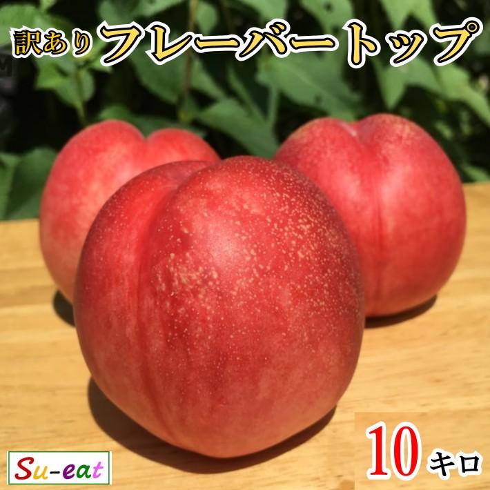 長野県産　ネクタリン　10Kg 8月中旬 フレーバートップ ネクタリン 訳あり 減農薬 長野県産 10キロ