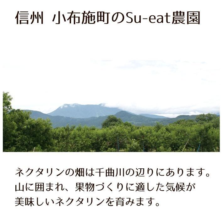 R7終了 山梨県産 フレーバートップ R7終了 山梨県産 フレーバートップ