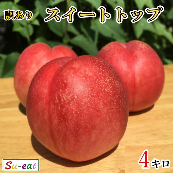 7月中旬〜下旬 サマークリスタル ネクタリン 訳あり 減農薬 長野県産 4