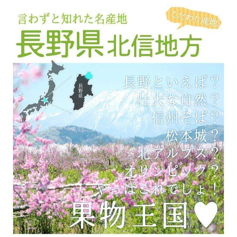 8月中旬〜下旬 ネクタリン 訳あり 減農薬 長野県産 2キロ : Su