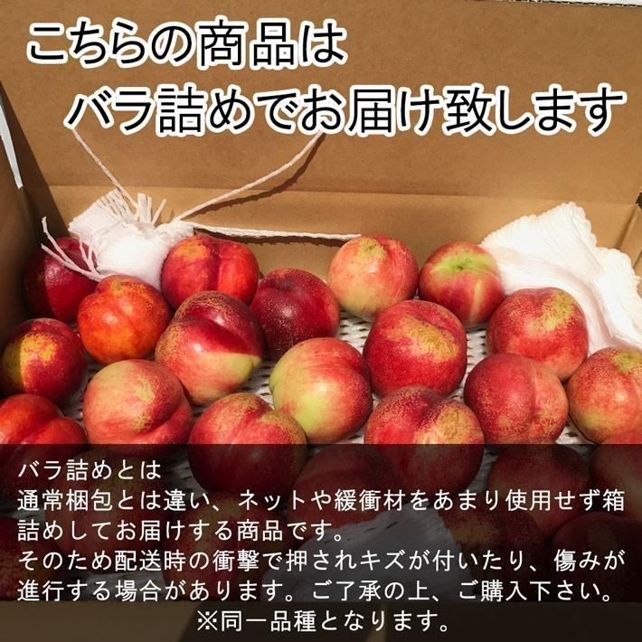青森県産 大玉 エンパイア ネクタリン 3kg 2箱 【公式通販】