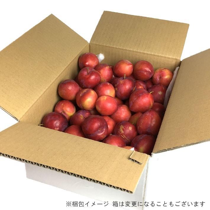 山梨県産 すもも M 4キロ プラム Plum 山梨県産 すもも M 4キロ プラム Plum 果物