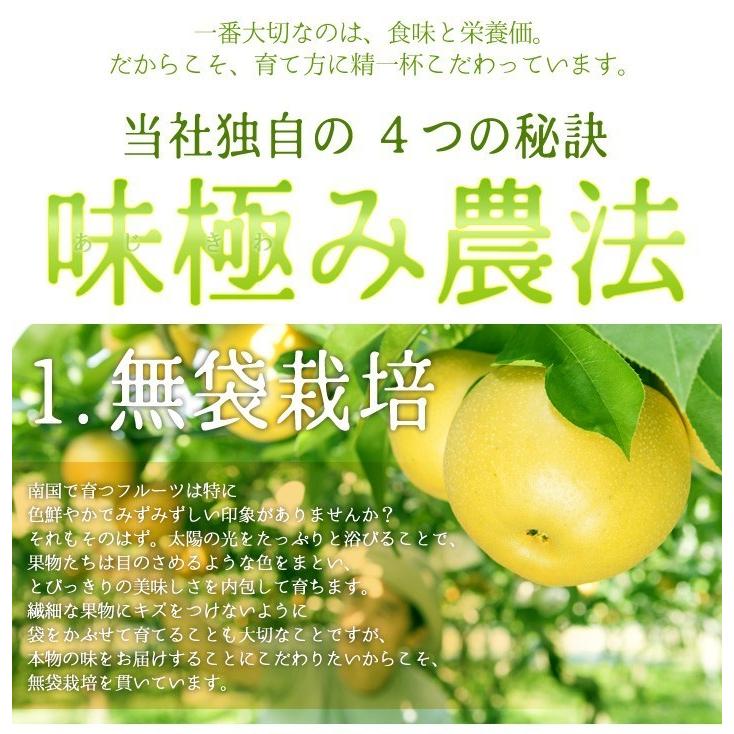 農薬不使用 すもも 3kg 完全無農薬 奄美大島産 すもも 3kg｜Yahoo!フリマ（旧PayPayフリマ）