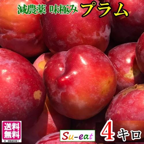 7月中旬 大石早生 プラム すもも 減農薬 長野県産 4キロ : Su-eat