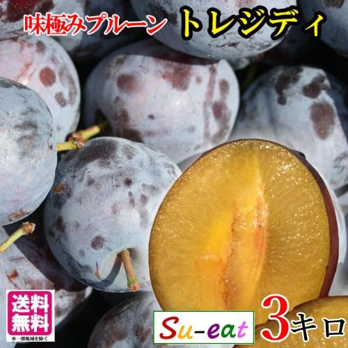 7月下旬〜8月上旬 生プルーン トレジティ 長野県産 3キロ : Su-eat