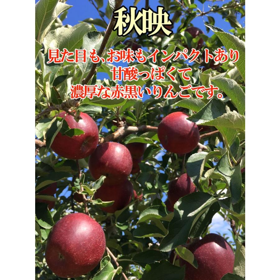 9月下旬〜10月上旬 秋映 りんご 訳あり 減農薬 長野県産 10キロ 9月下旬〜10月上旬 秋映 りんご 訳あり 減農薬 長野県産 10キロ
