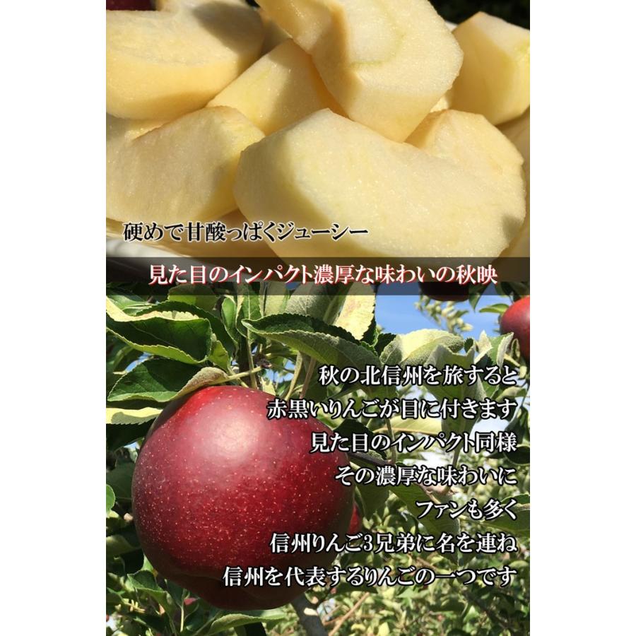 9月下旬〜10月上旬 秋映 りんご 訳あり 減農薬 長野県産 10キロ 9月下旬〜10月上旬 秋映 りんご 訳あり 減農薬 長野県産 10キロ