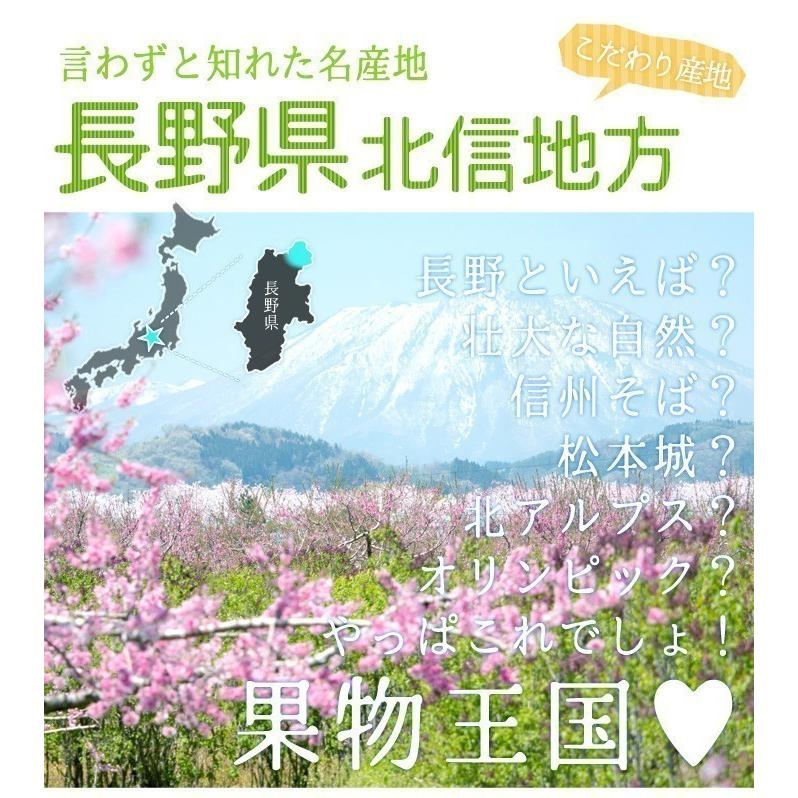 10月中旬〜下旬　特選  シナノゴールド　りんご 減農薬 長野県産  10キロ｜kizunasanntyokukai｜13