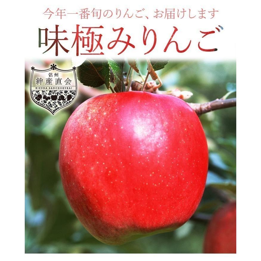 8月中旬 訳あり シナノリップ りんご 減農薬 長野県産 10キロ : Su-eat