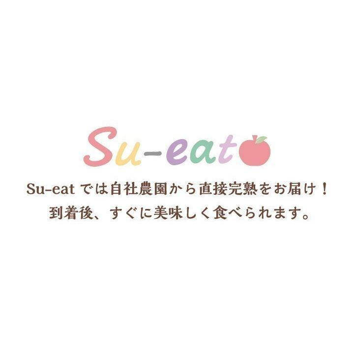 8月中旬 サマーキュート 生プルーン 減農薬 長野県産 2キロ : Su-eat