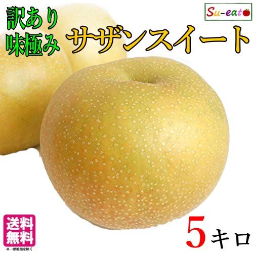 8月中旬〜下旬 サザンスイート 梨 訳あり 減農薬 長野県産 5キロ : Su