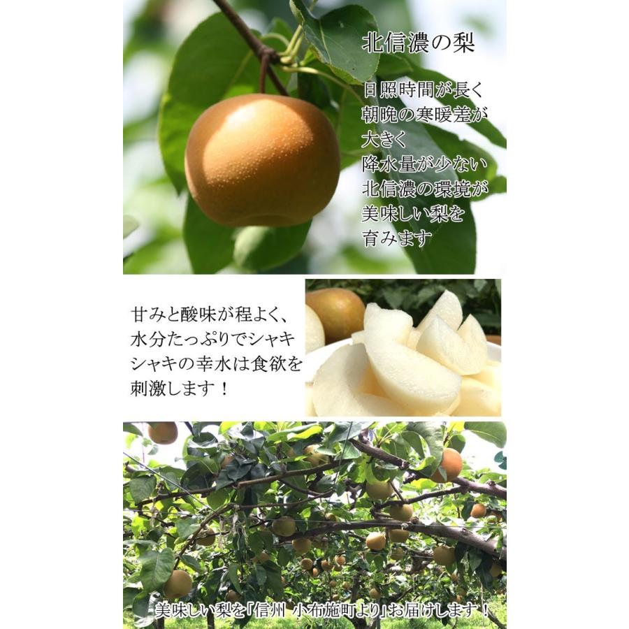 8月中旬〜下旬 サザンスイート 梨 訳あり 減農薬 長野県産 5キロ : Su