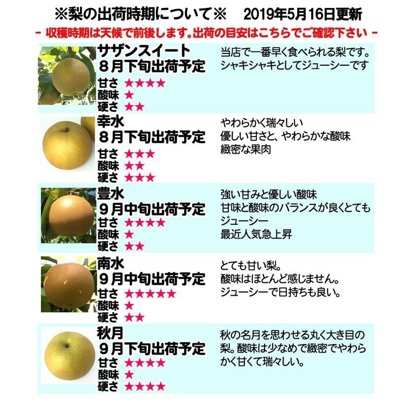 8月中旬〜下旬 サザンスイート 梨 訳あり 減農薬 長野県産 5キロ : Su