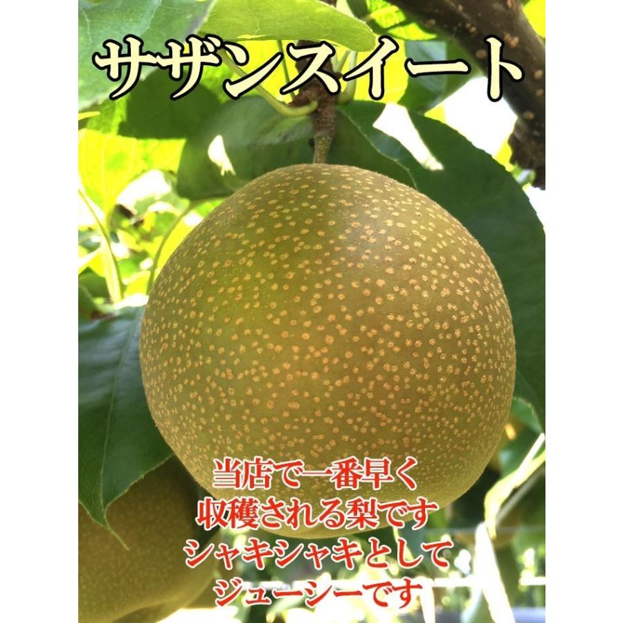 8月中旬〜下旬 サザンスイート 梨 訳あり 減農薬 長野県産 5キロ : Su