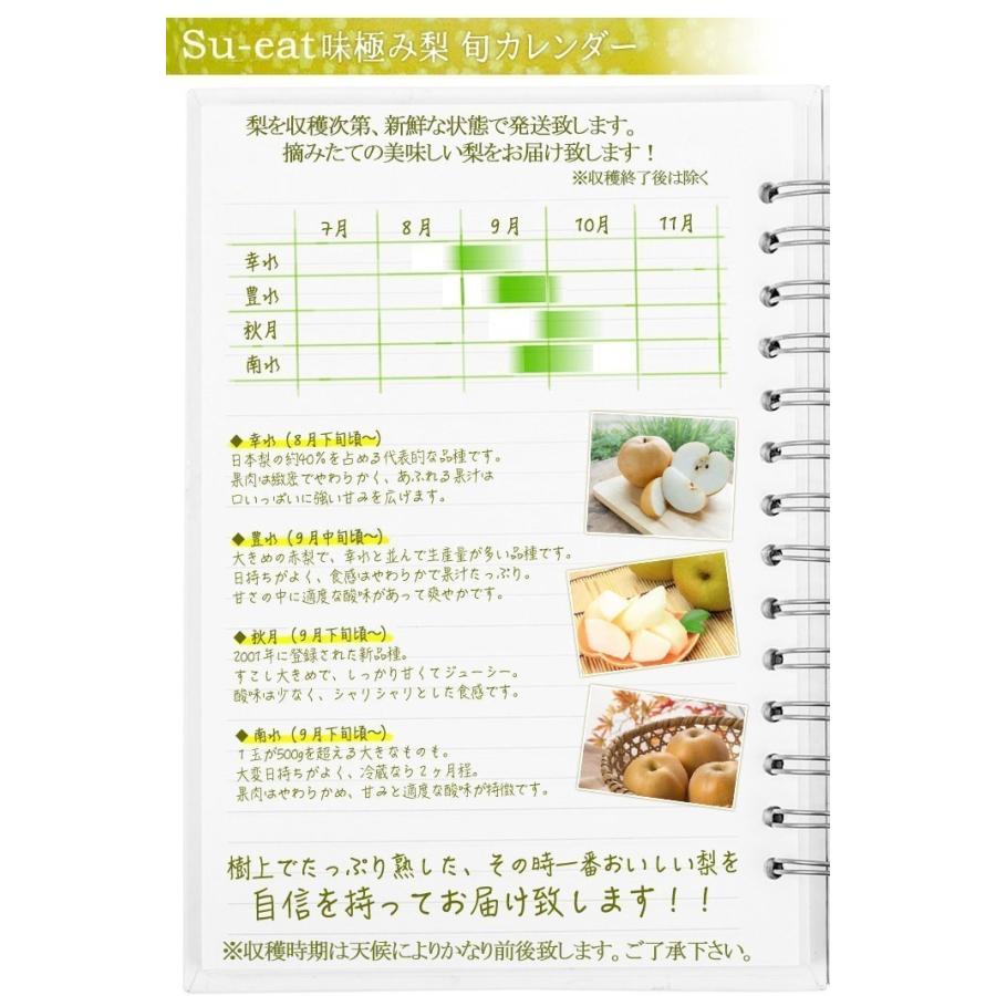 8月中旬〜下旬 サザンスイート 梨 訳あり 減農薬 長野県産 5キロ : Su