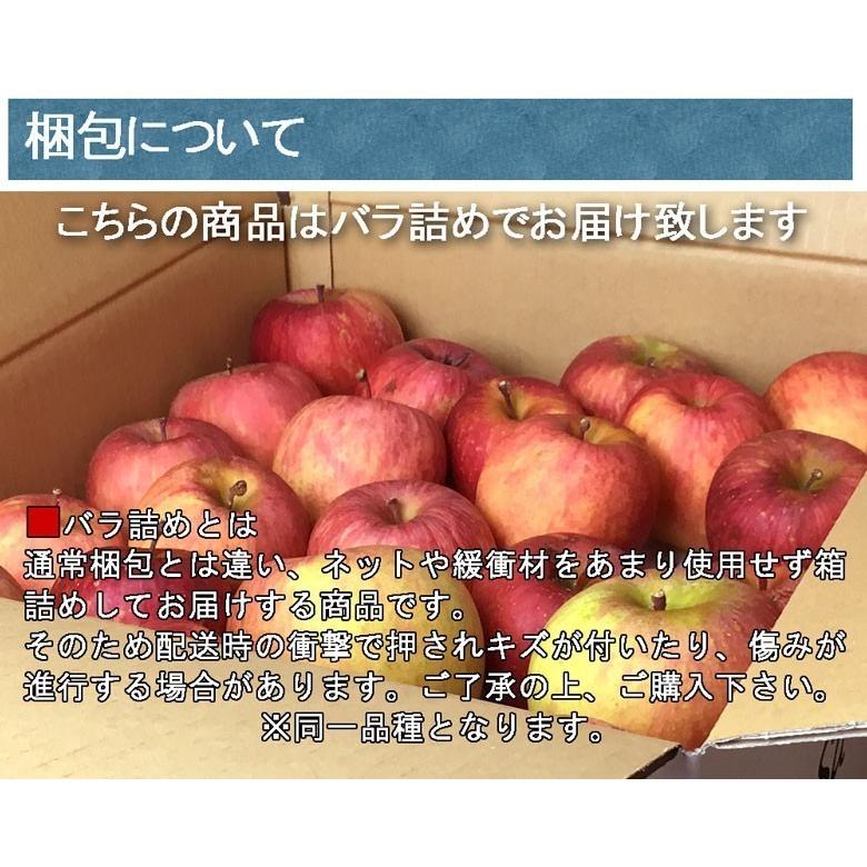 8月下旬　つがる　訳あり りんご 減農薬 長野県産 10キロ　｜kizunasanntyokukai｜04