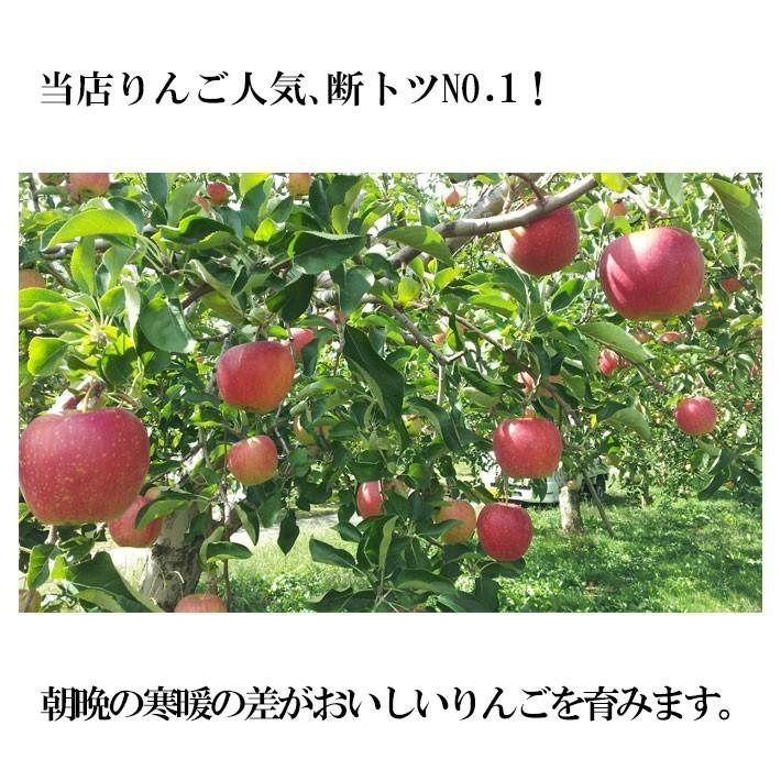 8月下旬　つがる　訳あり りんご 減農薬 長野県産 10キロ　｜kizunasanntyokukai｜06