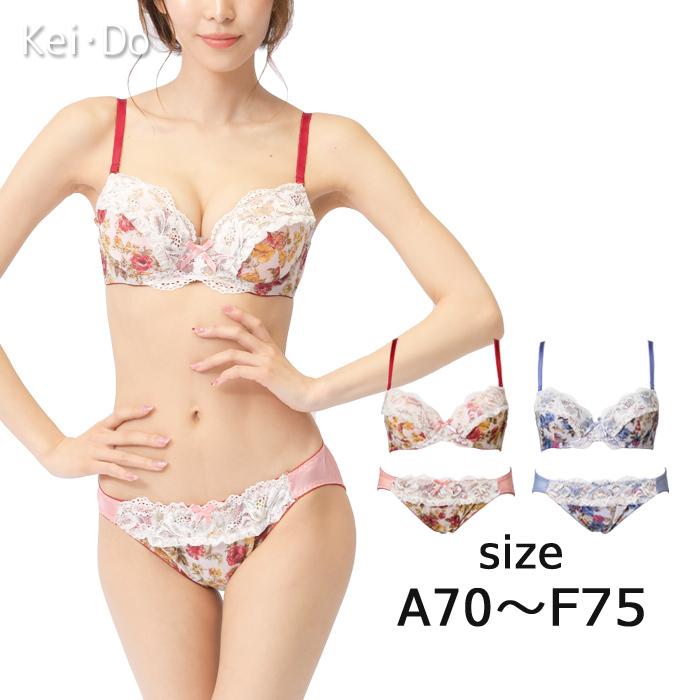 ブラジャー ショーツ セット ワイヤー入り 花柄プリント フリル ブラジャー ショーツ セット ワイヤー入り 花柄プリント フリル