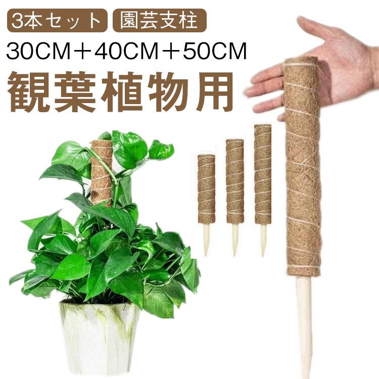 花ささえ 支柱 ポトス モンステラ ココスティック 3本セット