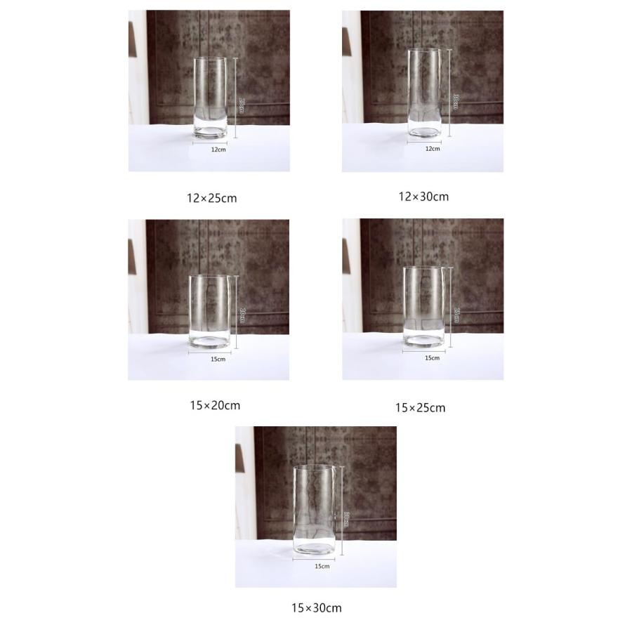 花瓶 フラワーベース 枝もの 大型 ガラス おしゃれ ロング ガラス花瓶 ガラスベース 円柱 枝物 丸 大きい 25cm 花瓶 クリア 透明 シンプル｜kj1210｜08