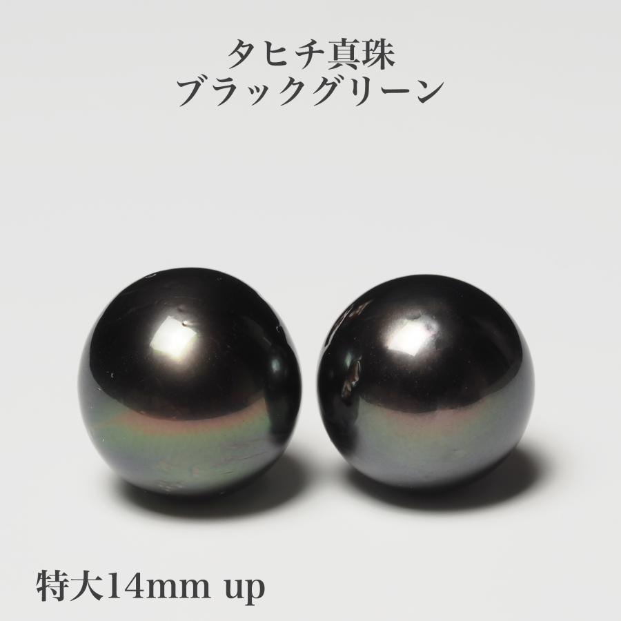 タヒチ真珠 ピアス ブラックグリーン 特大14mm up/セミラウンド