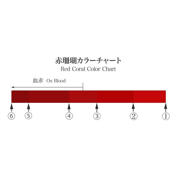 K18 血赤珊瑚 リング 13号 サイズ直し可 18金イエローゴールド 指輪