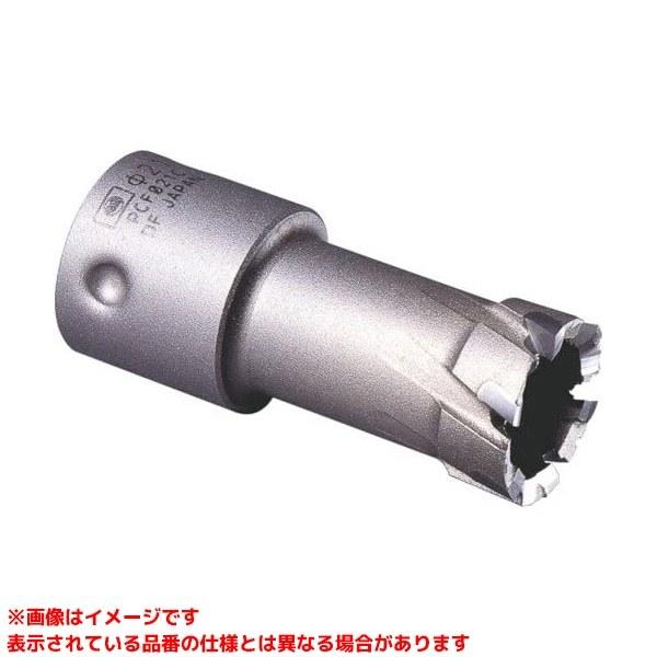 板倉義寛、【富士桜並木】、希少な額装用画集より、美品、新品額装付