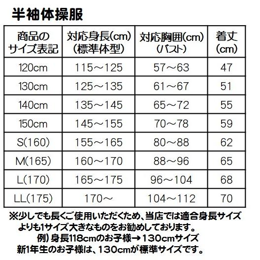 体操服　Ｖネックシャツ　マリンブルー　Ｍサイズ10枚セット 半袖体操服（Vネック）Mサイズ : 学生服の中外 ヤフー店 - 通販